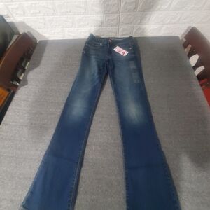 American Eagle Outfitters Blue Flare Jeans